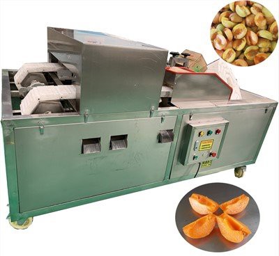 Машина за премахване на костилки от кайсии