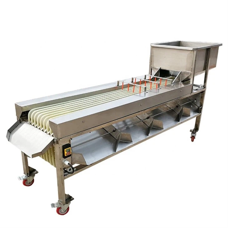 Automatic Fruit Sorting And Grading Machine